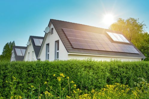 Solar Panel Maintenance in New Braunfels, TX
